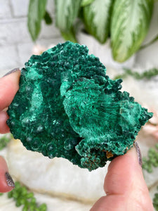Contempo Crystals - furry-green-fibrous-malachite - Image 20