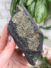 Load image into Gallery: Contempo Crystals - gold-pyrite-on-black-basalt - Image 19