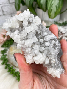 Contempo Crystals - gray-white-aragonite - Image 11