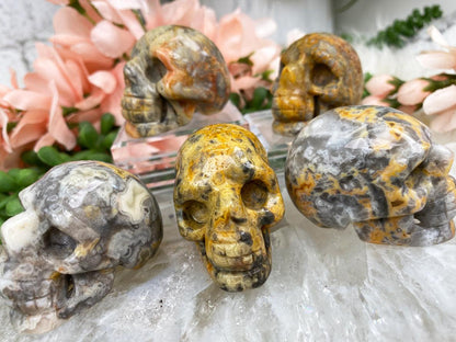 Crazy Lace Agate Skulls