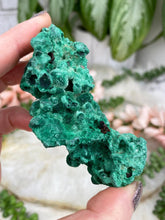 Load image into Gallery: Contempo Crystals - green-fibrous-malachite-crystal - Image 20