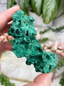 Contempo Crystals - green-fibrous-malachite-crystal - Image 19