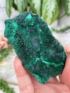 Contempo Crystals - green-fibrous-malachite-dr-congo - Image 8