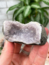 Load image into Gallery: Contempo Crystals - indian-amethyst-geode - Image 22