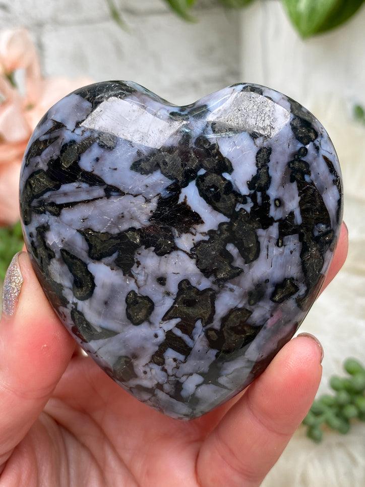 indigo-gabbro-heart