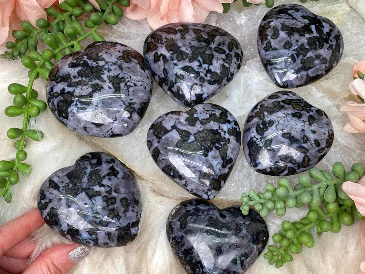 indigo-gabbro-hearts-from-madagascar