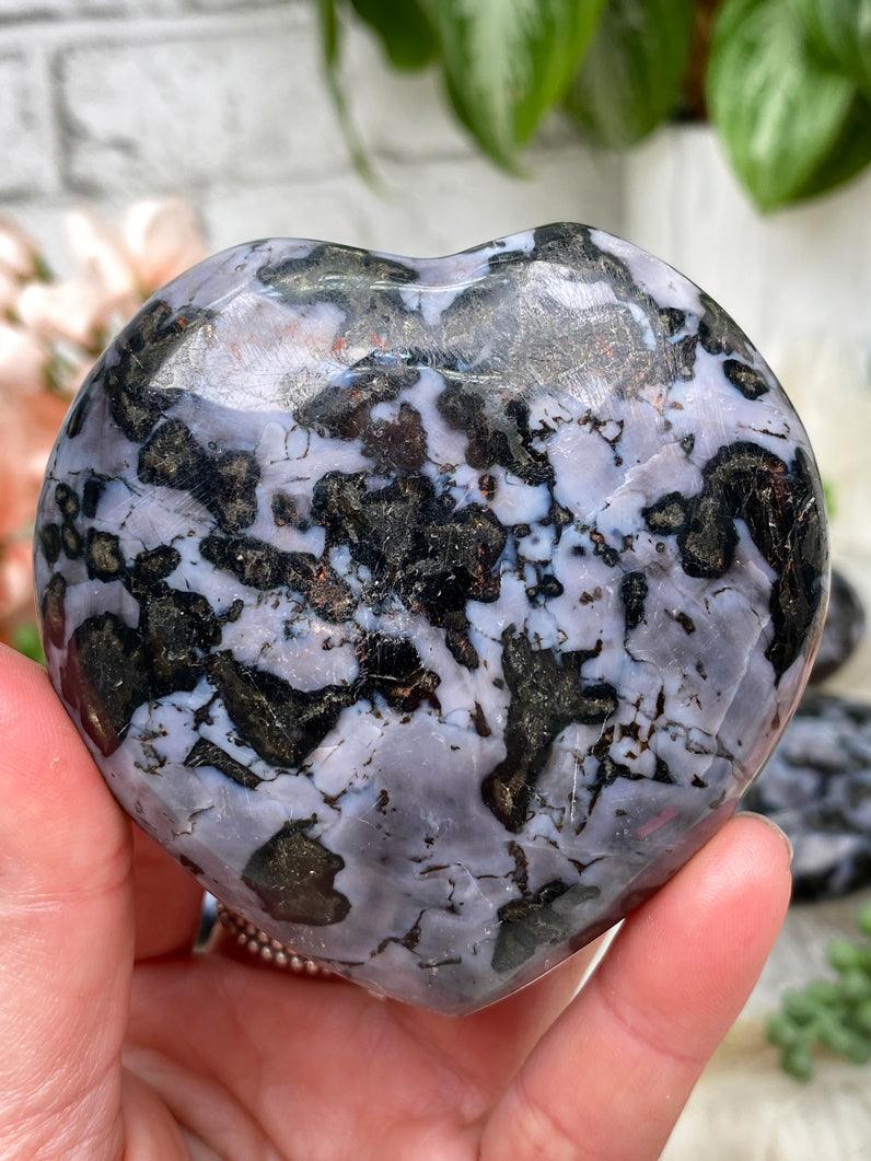 indigo-gabbro-purple-heart