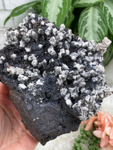 Load image into Gallery: Contempo Crystals - large-black-white-calcite-cluster - Image 4