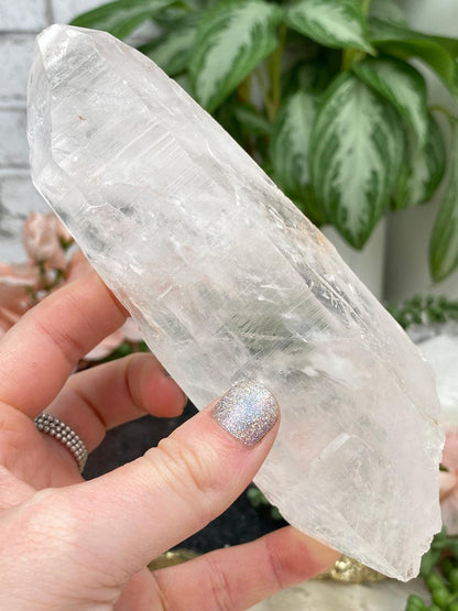 large-brazil-lemurian-quartz-point