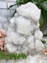 Load image into Gallery: Contempo Crystals - large-chunky-white-standing-apophyllite - Image 5