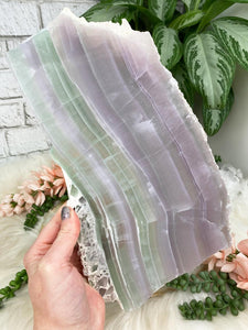 Contempo Crystals - large-fluorite-slice - Image 7