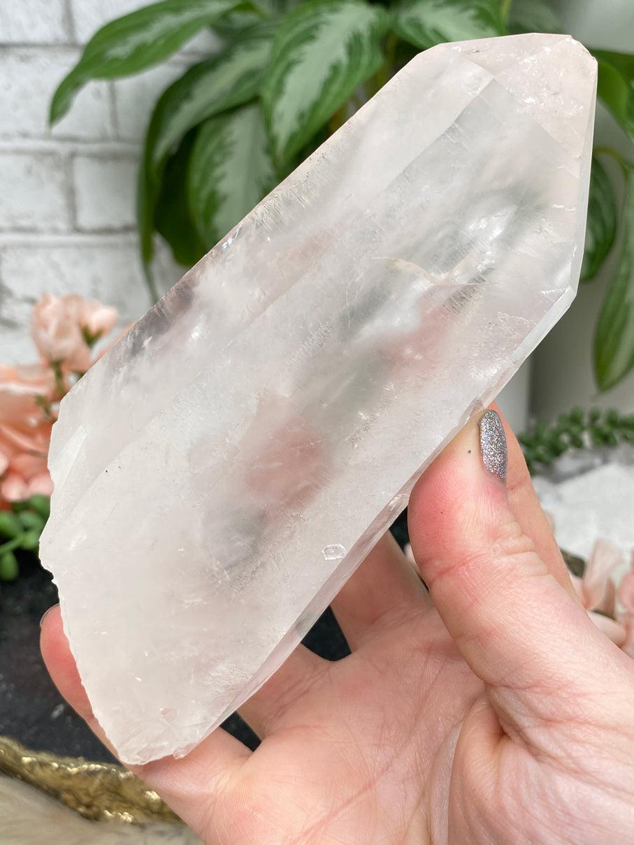 large-lemurian-point