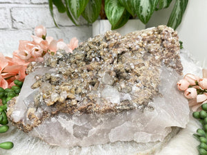 Contempo Crystals - large-lodolite-quartz-cluster - Image 2