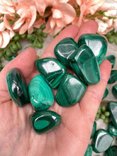 Load image into Gallery: Contempo Crystals - large-malachite-tumbles - Image 7