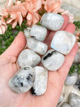 Load image into Gallery: Contempo Crystals - large-moonstone-tumbles - Image 6