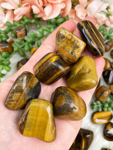 Contempo Crystals - large-tiger-eye-tumbles - Image 4