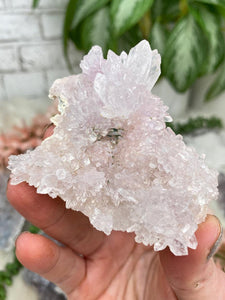 Contempo Crystals - Amethyst Flowers - Image 37