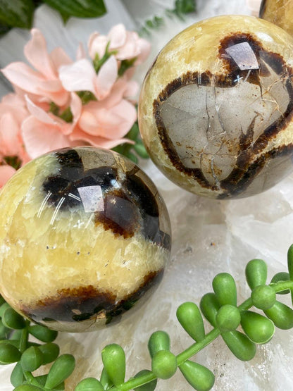 madagascar-yellow-septarian-spheres