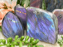 Load image into Gallery: Contempo Crystals - mermaid-labradorite - Image 5