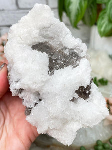 Contempo Crystals - mexico-white-selenite-brown-calcite - Image 6