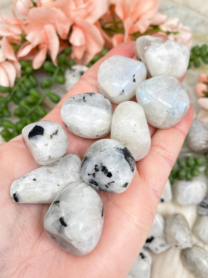 moonstone-tumbles-for-sale