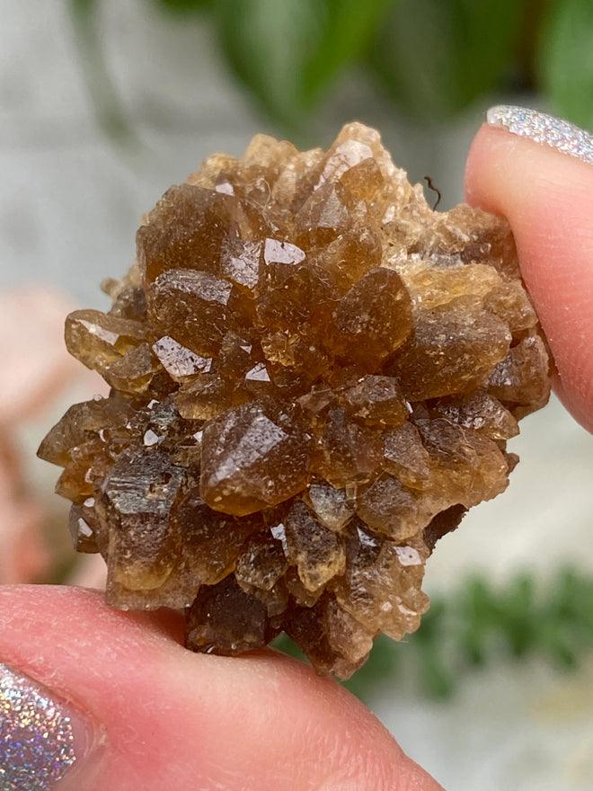 morocco-citrine-rose-cluster