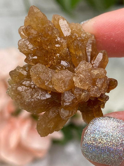 morocco-citrine-rose