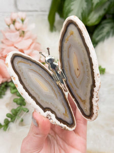 Contempo Crystals - natural-agate-slice-butterfly - Image 11