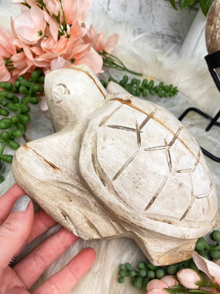 petrified-wood-turtle