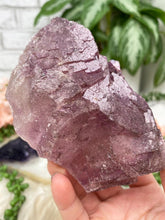 Load image into Gallery: Contempo Crystals - pink-purple-fluorite-cluster - Image 8