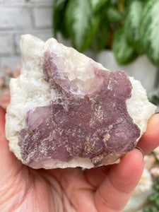 Contempo Crystals - pink-purple-white-fluorite-cluster - Image 12