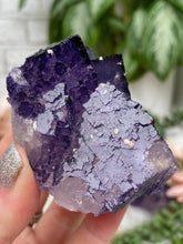 Load image into Gallery: Contempo Crystals - purple-musquiz-fluorite - Image 10