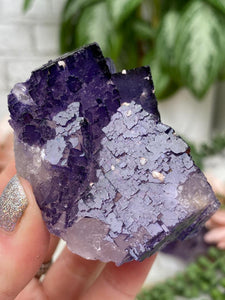 Contempo Crystals - purple-musquiz-fluorite - Image 9