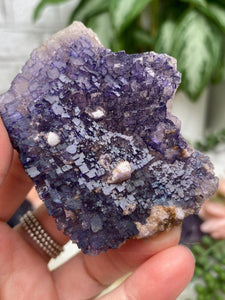 Contempo Crystals - purple-musquiz-qr-fluorite-cluster - Image 8