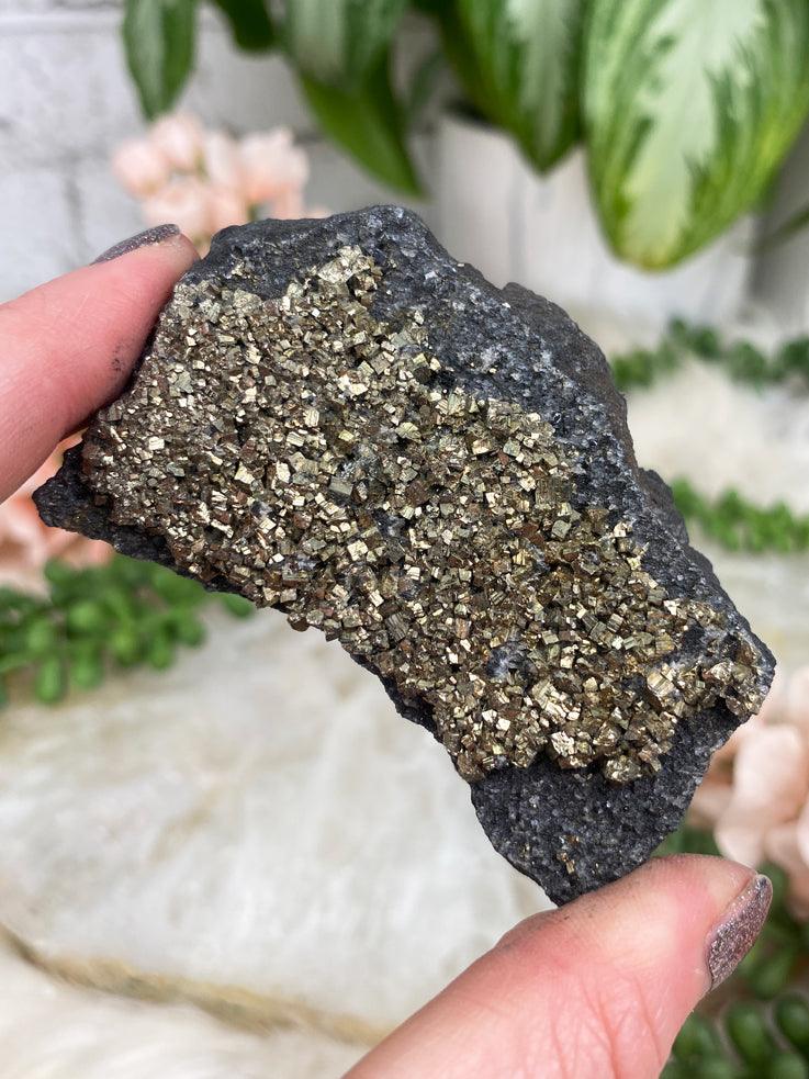 pyrite-on-black-basalt