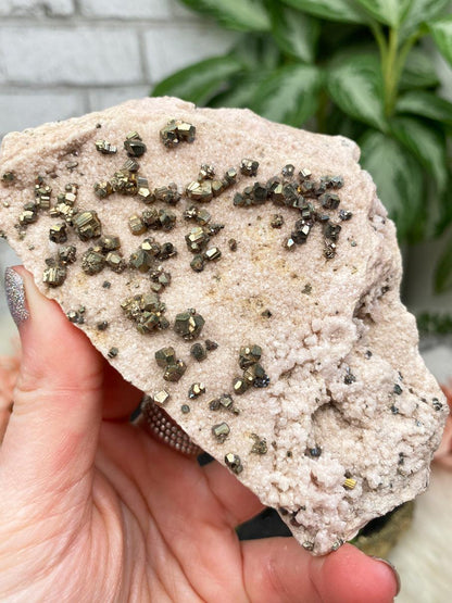 pyrite-on-rhodochrosite