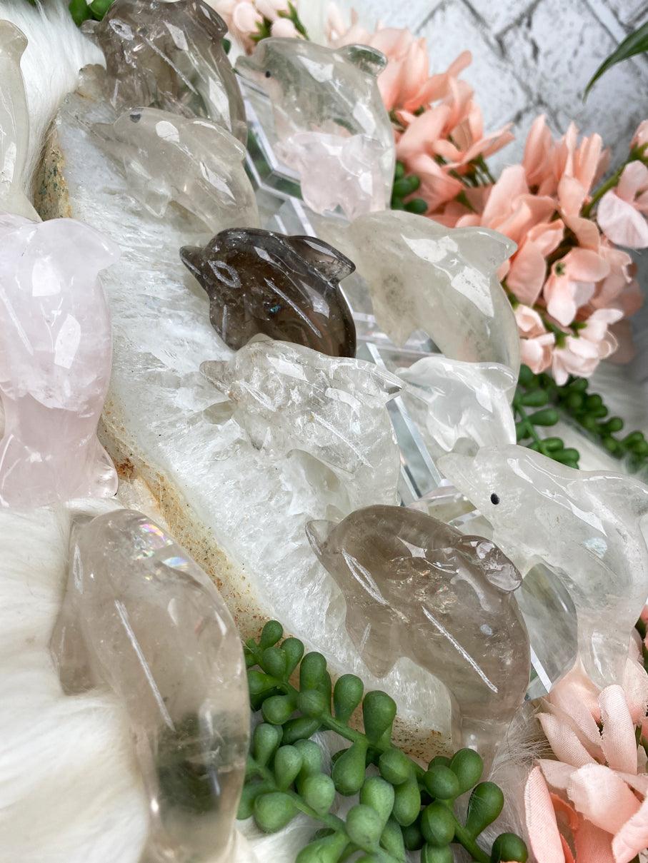 quartz-crystal-dolphins