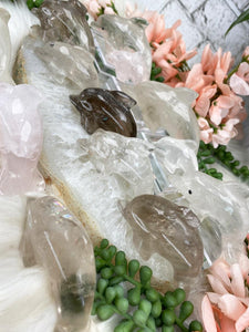 Contempo Crystals - quartz-crystal-dolphins - Image 5