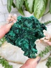 Load image into Gallery: Contempo Crystals - raw-fibrous-green-malachite-crystal - Image 19