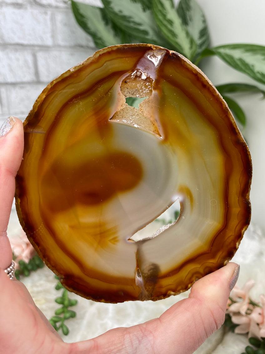 red-agate-slice