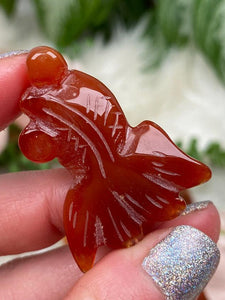 Contempo Crystals - red-carnelian-fish - Image 22