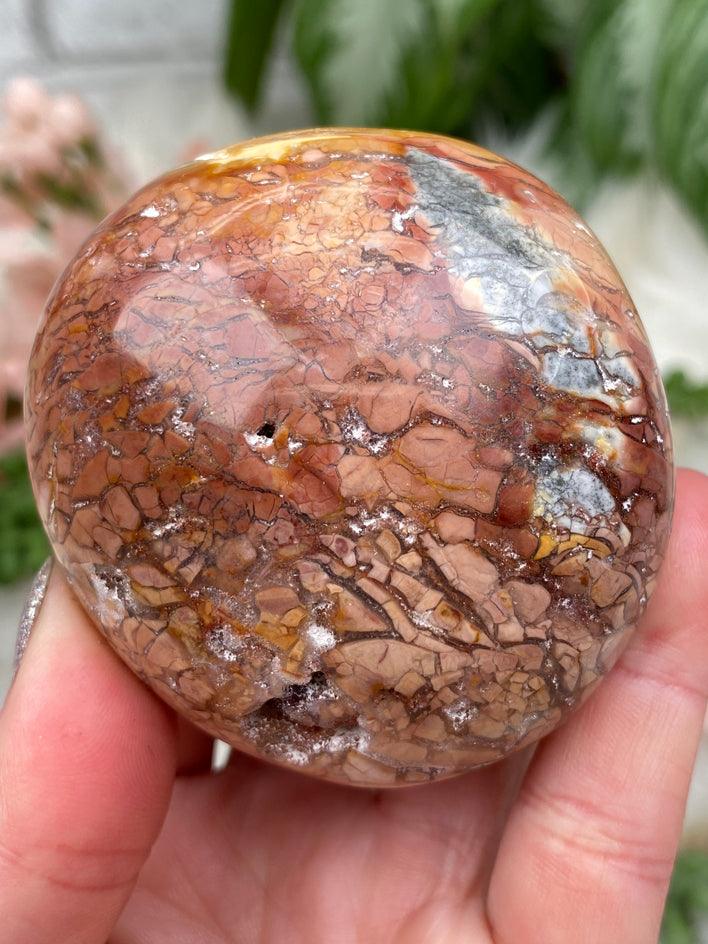 red-ibis-jasper-palm