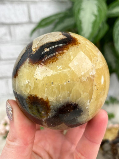 septarian-sphere