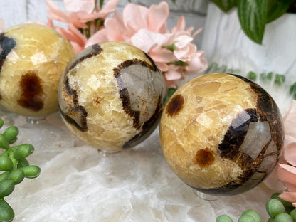 septarian-spheres-for-sale