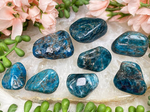 Contempo Crystals - small-blue-apatite-stones - Image 5