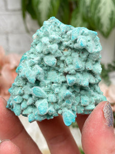 Contempo Crystals - small-blue-kobyashevite - Image 13