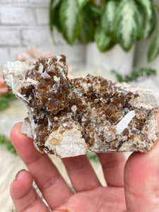 Contempo Crystals - small-brown-cubic-fluorite-celestite - Image 18