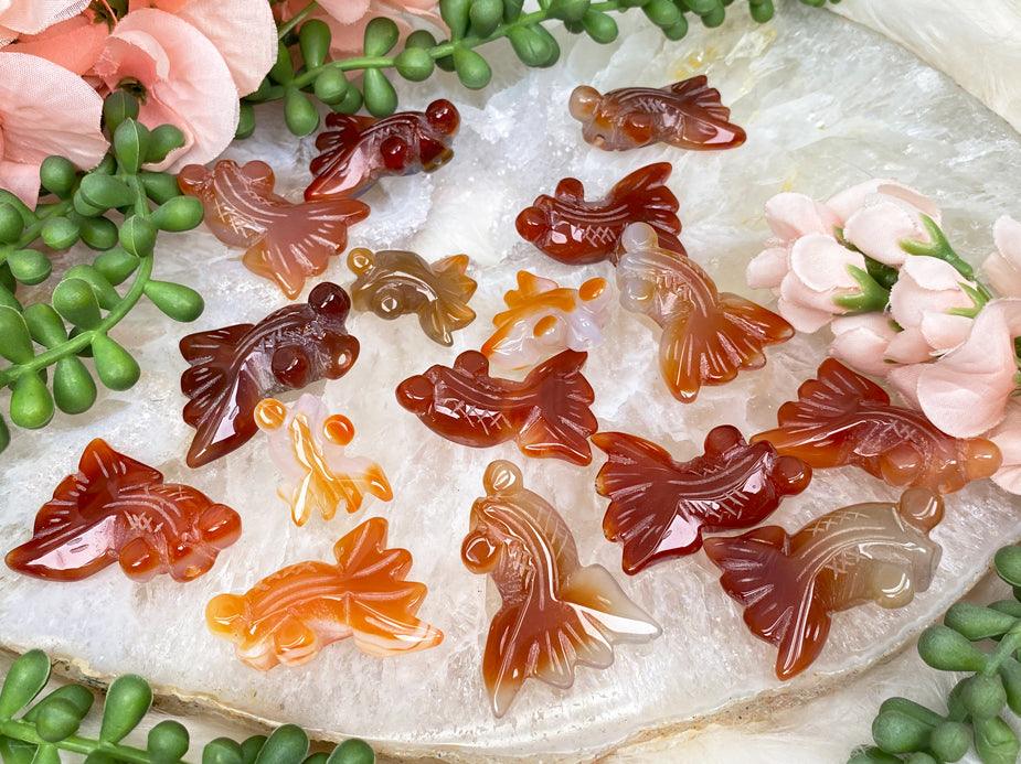 small-carnelian-fish-crystals
