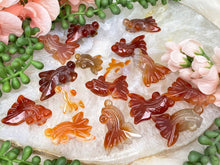 Load image into Gallery: Contempo Crystals - small-carnelian-fish-crystals - Image 5