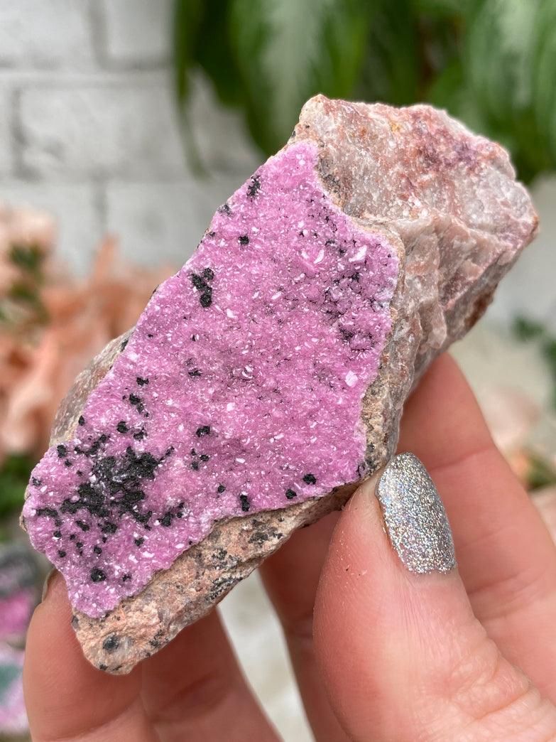 Large Pink Cobalto Calcite Drusy Crystal Mineral Specimen Shaba, Zaire